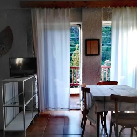 Palm Mountain View &no Sea View Apartment